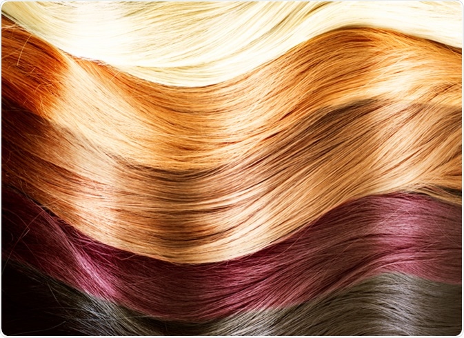 Genetique De Couleur Des Cheveux