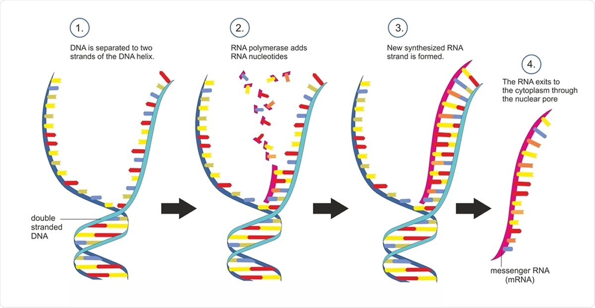 Nanomedicine S Giant Step Into The Fight Against The Covid 19