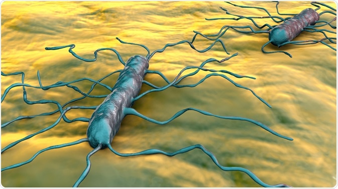 Listeriosis Treatment