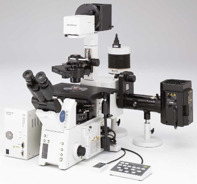 Confocal Microscopes Equipment | Review, Compare, Get Quotes (RFQ) & Prices