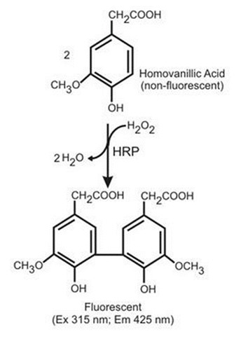 H2o2 acid