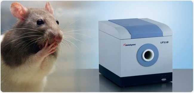 Body Composition Analysis (bca) Using Minispec Analyzer