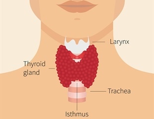 Endocrine Surgery