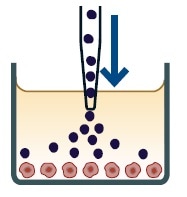 Real Time Measurement of Tumor Cell Death Using IncuCyte® Immune Cell ...