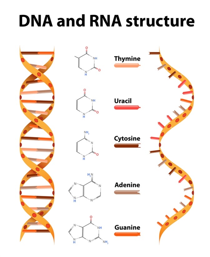 microrna-profiling-methods-and-applications