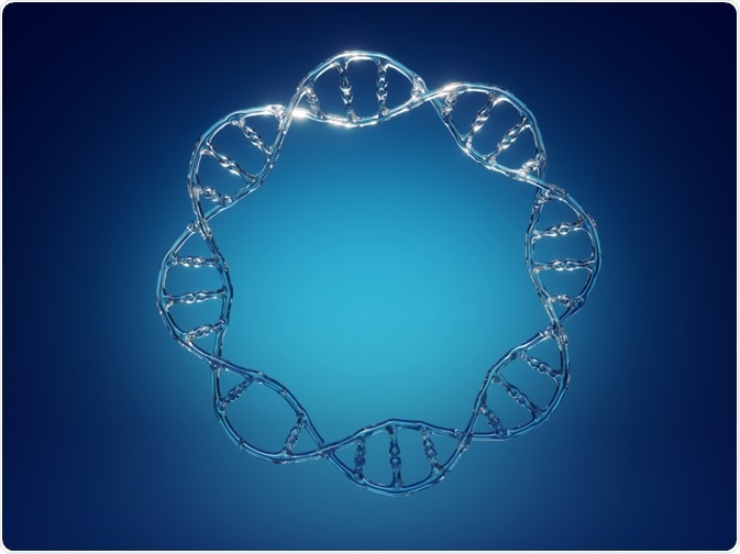 Transfer Pcr Tpcr Steps