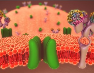 How Patch Clamp Technology Can Benefit Ion Channel Research