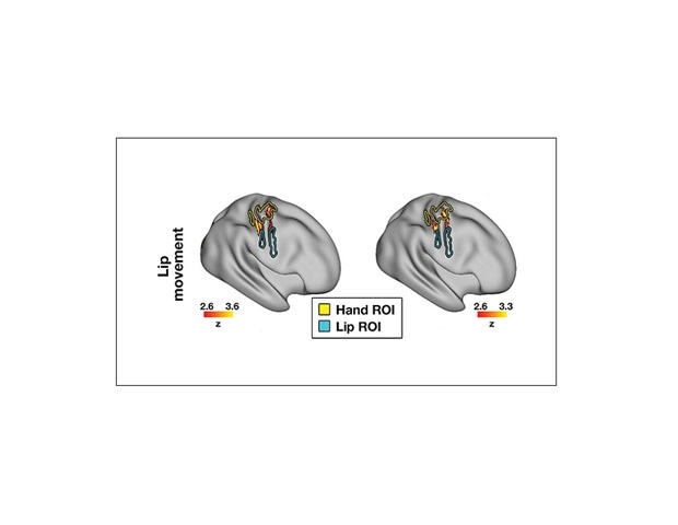 location-does-not-restrict-brain-remapping