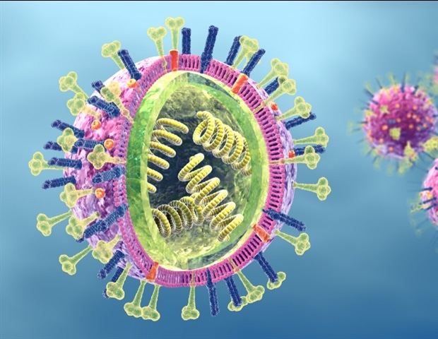 Scientists discover new patterns in the evolution of the influenza virus