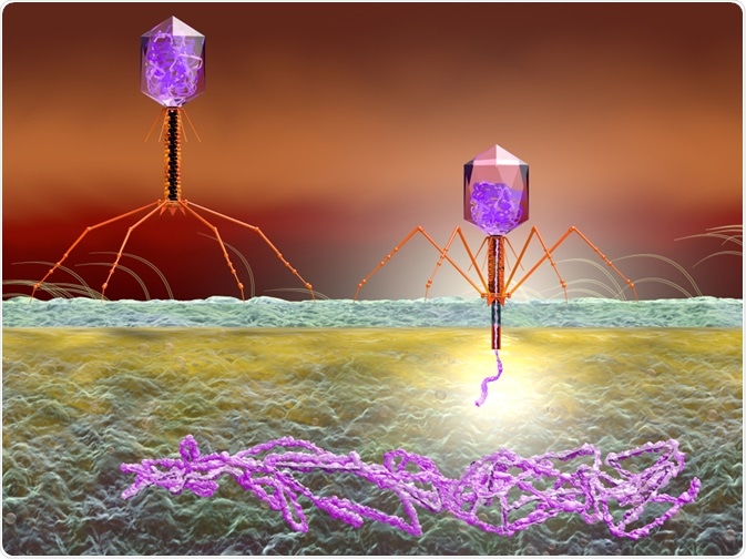 vimr lab phage