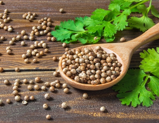 The Health Benefits Of Cilantro Coriander