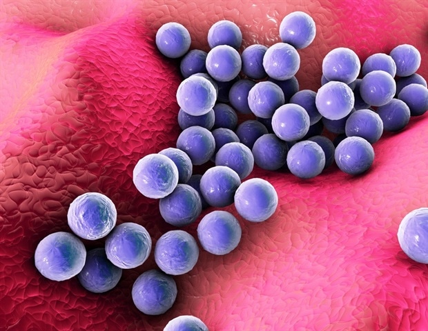 Household factors promote rapid staph superbug spread within families