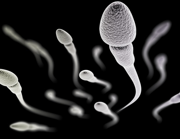 Why Some Sperm Swim In Circles Its A Protein Defect