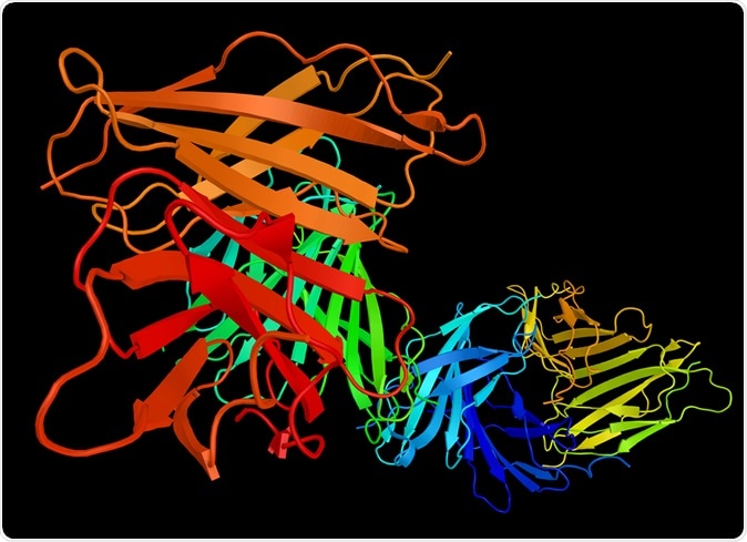 Alzheimer's disease protection from exercise hormone irisin