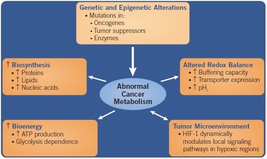 cancer metabolism thesis