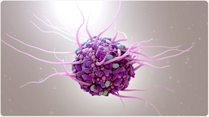 Human Cell Line Authentication by STR Profiling