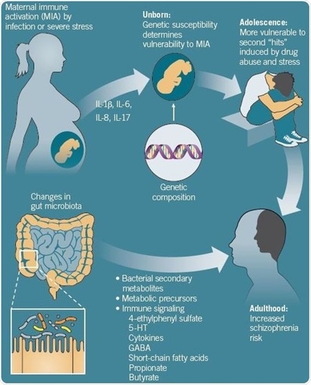 Drug Targets and Neurobiology of Schizophrenia