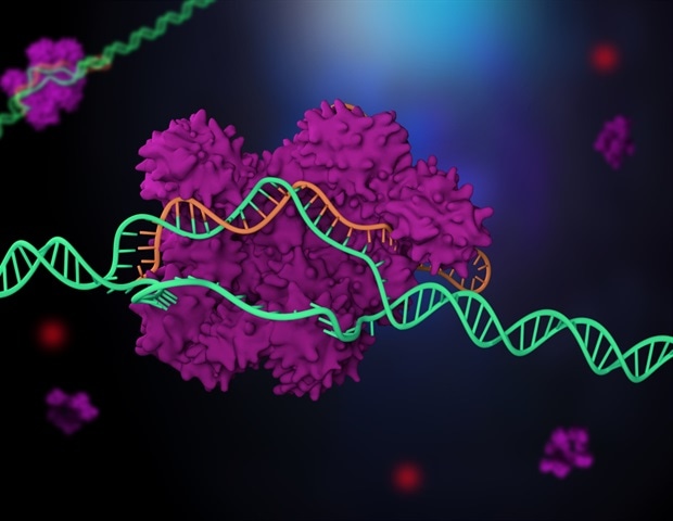 CRISPR discovery opens up new possibilities for genetic engineering