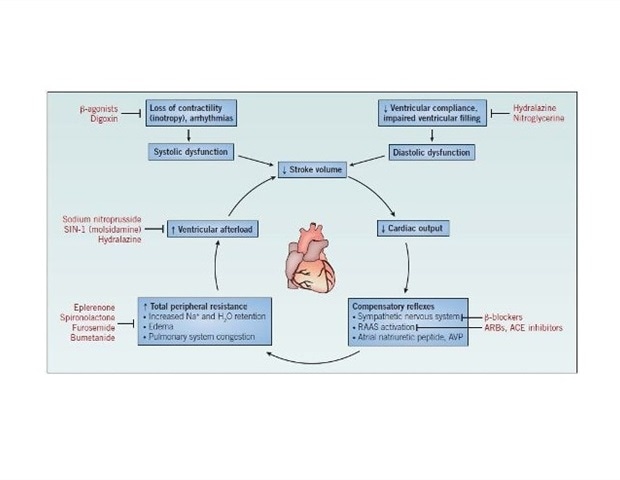 research paper about heart failure