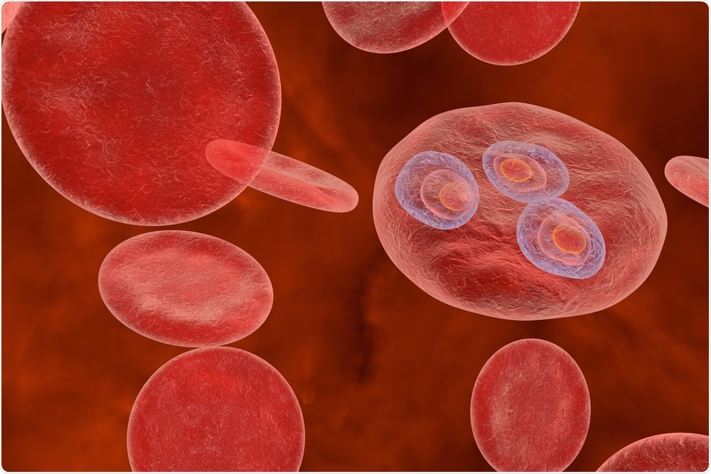 malaria-a-force-shaping-blood-cell-evolution