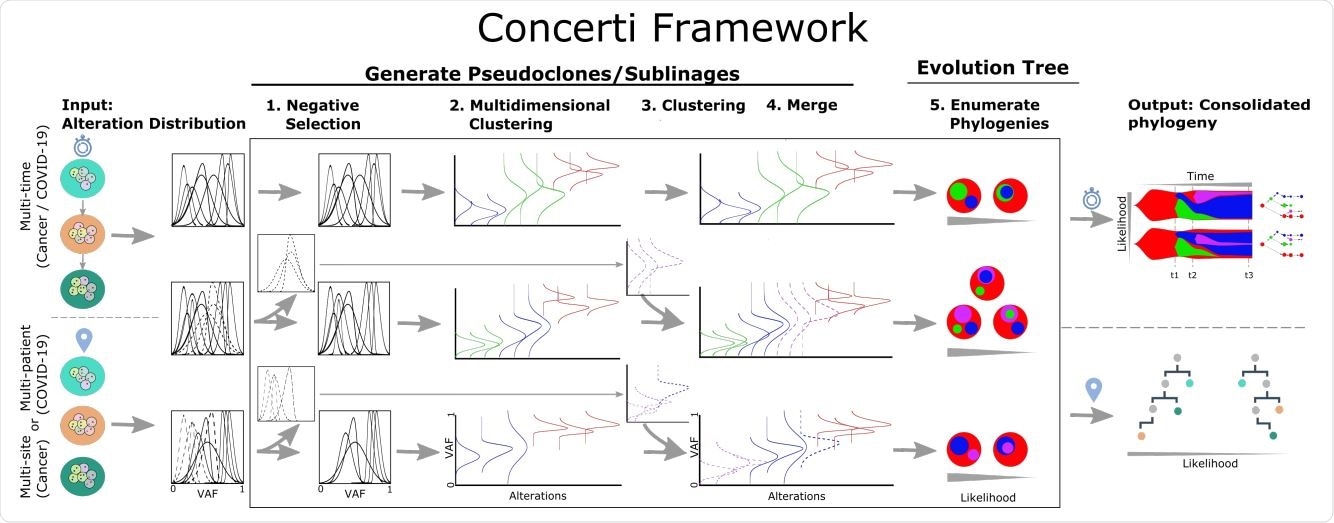 Schematic of the Concerti Framework. Given a set of multi-patient (COVID-19) or multi-site, multi-time (cancer) genomic samples, the algorithm analyzes the underlying alteration frequency distribution as input and performs a (1) negative selection to filter appearing alterations. A (2) multidimensional clustering is done to identify pseudoclones/lineages that will then be enriched by a (3) single sample clustering that (4) merges alterations that were initially negatively selected. (5) All potential phylogenies are generated and assessed for compatibility. Finally the set of consolidated phylogenetic structures over time or site are output with likelihood scores.