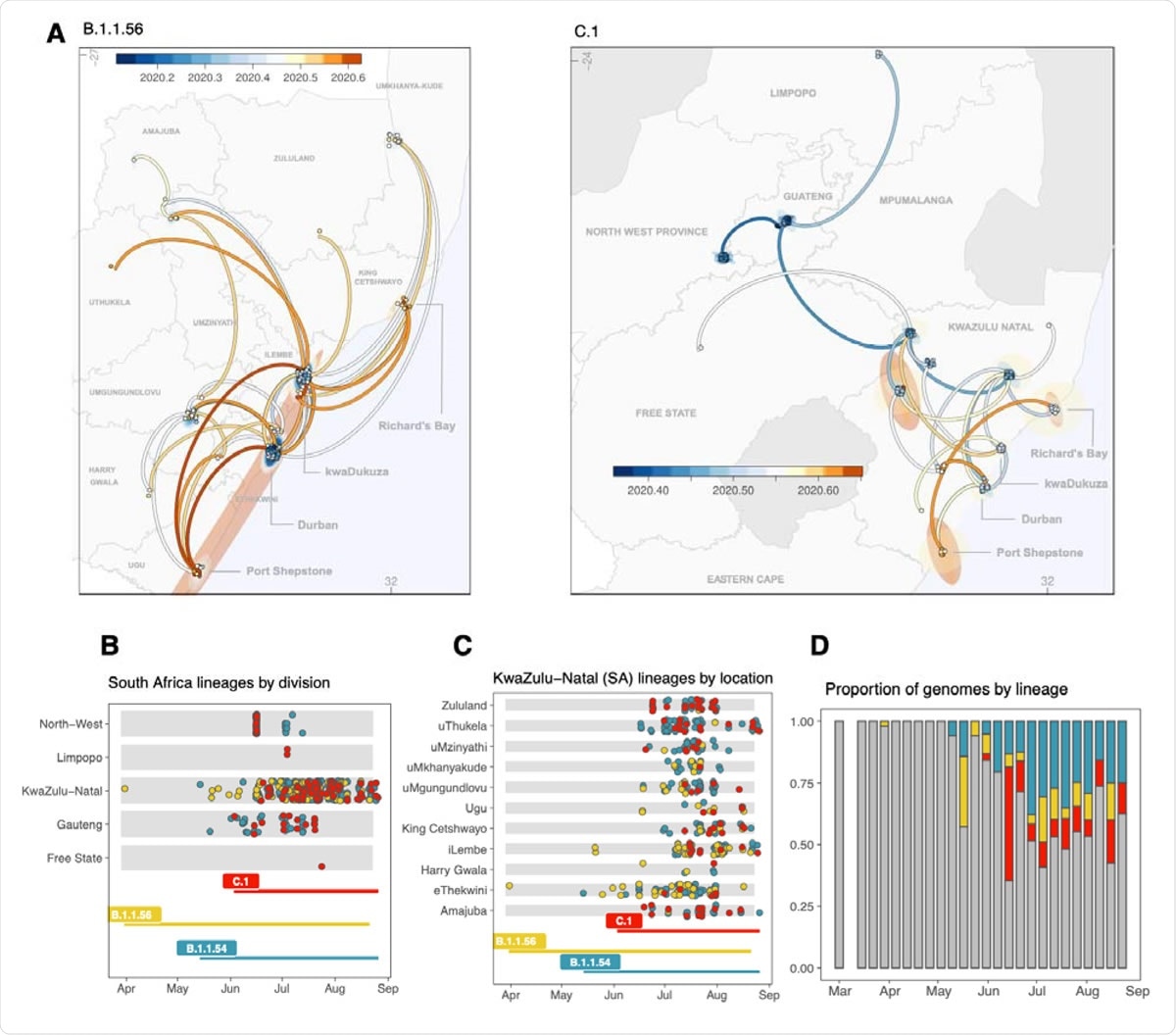 Geographical distribution and spread of lineage clusters in (5) five provinces and all districts of KZN. A) Mapping the spread of the B.1.1.56 cluster (left) and the C.1 cluster (right) from phylogeographic reconstructions. Time scale is specified in decimal dates from 2020.2 (March 2020) to 2020.6 (July 2020). Eastern Cape misspelled – to be fixed in next iteration. B) Sampling timeline and locations of genomes belonging to each lineage cluster in (5) five provinces. C) Sampling timeline and locations of genomes belonging to each lineage cluster in all 11 districts of KZN province. D) The progression of the proportions of genomes belonging to the main lineage clusters over time (B.1.1.54: blue, B.1.1.56: yellow, C.1: red), grey: others).