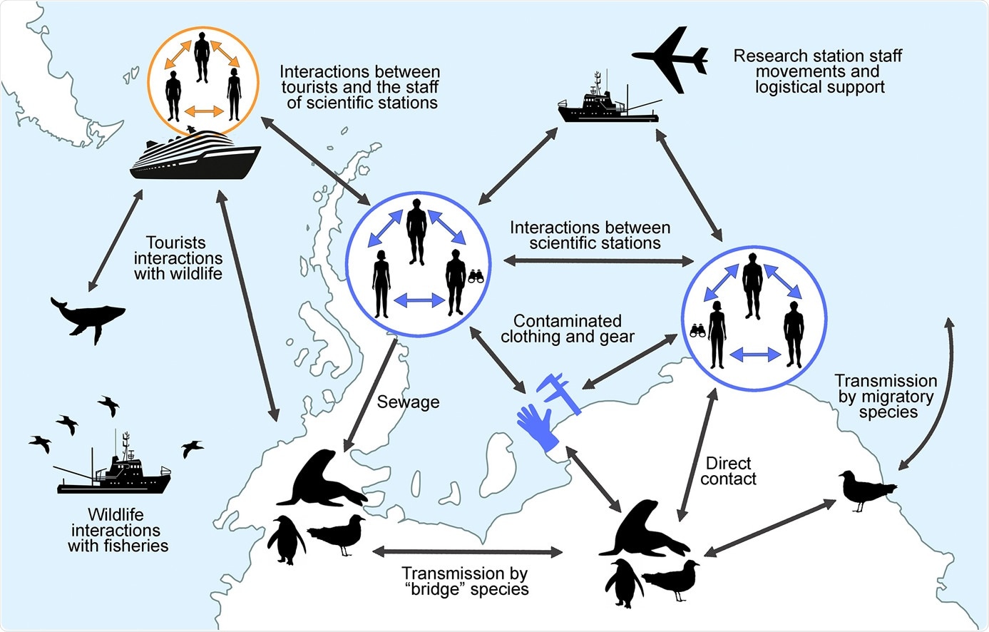 Study: Risk assessment of SARS-CoV-2 in Antarctic wildlife.