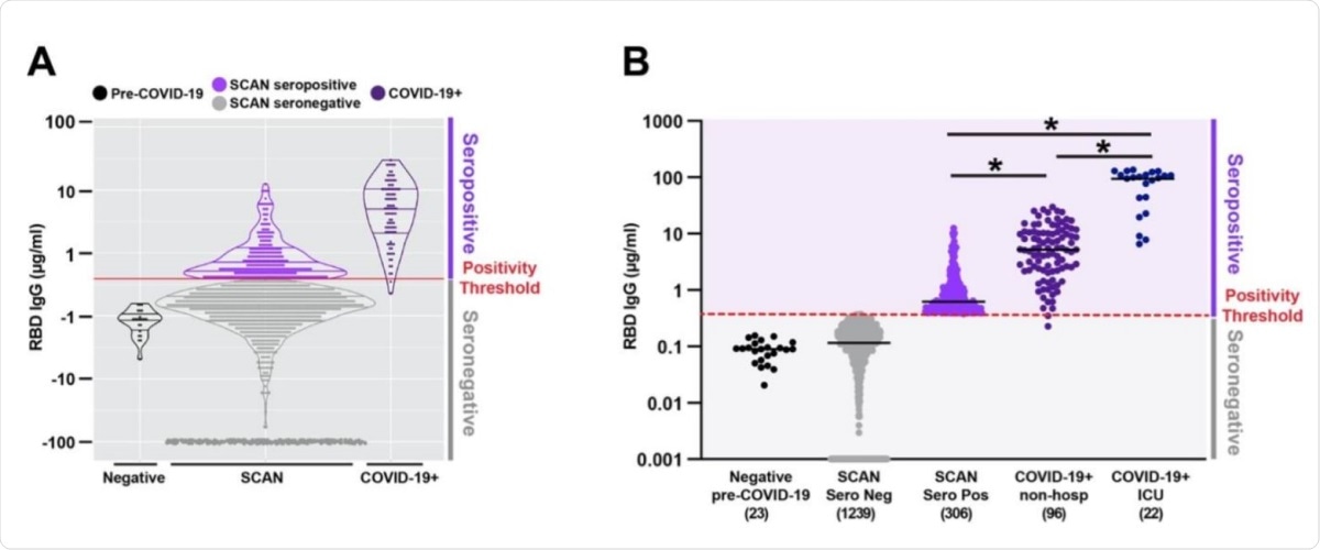 Quantitative measurement of IgG directed at the receptor binding domain of SARSCoV-2 spike glycoprotein. Samples were taken through a nearby coronavirus antibody screening (SCAN) between June 24, 2020 and September 6, 2020 (n = 1545).  A) Overlapping IgG ranges seen in community-infected SCAN serum-positive samples (light purple) and non-hospitalized COVID-19 + serum-positive samples (dark purple, far right).  B) 19.8% of SCAN samples (306 of 1545) were serum positive, with a median IgG concentration of 0.62 µg / ml SCAN in the serum positive group. The median concentration of the seronegative SCAN group was 0.11 µg / ml. As a comparator, the range of IgG detected in 96 non-hospitalized patients with COVID-19 and 22 ICU inpatients recorded by a positive nucleic acid test for SARS-CoV-2 virus is shown.  The median IgG concentration was 5.2 µg / ml in the non-hospitalized COVID-19 + group and 98.5 µg / ml in the ICU-hospitalized COVID-19 + group.  The serum positive threshold for SARS-CoV-2 RBD IgG ELISA is indicated by the red line at 0.39 µg / ml.  244 serum-negative samples with IgG concentrations <0.001 were plotted at 0.001. Comparison of serum positive groups * Wilcoxon-Mann-Whitney test p <0.0001. Both seronegative groups are significantly different from all seropositive groups.  