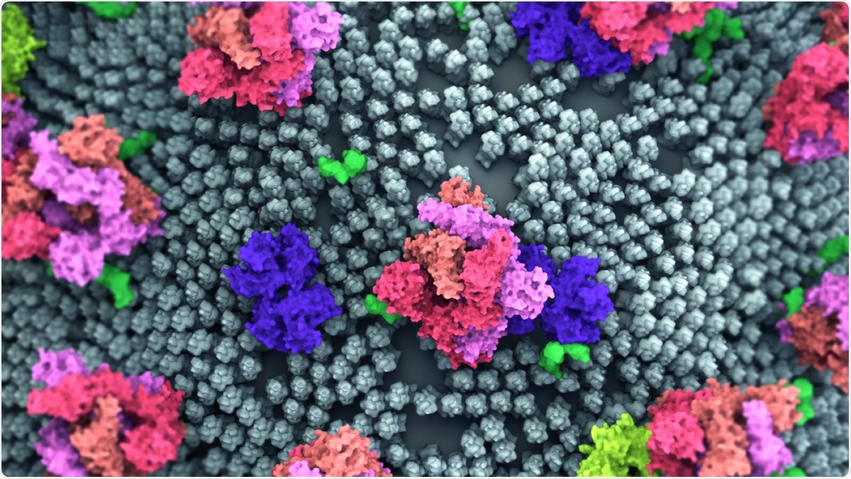 SARS-CoV-2 spike D614G variant exhibits improved replication and transmissibility