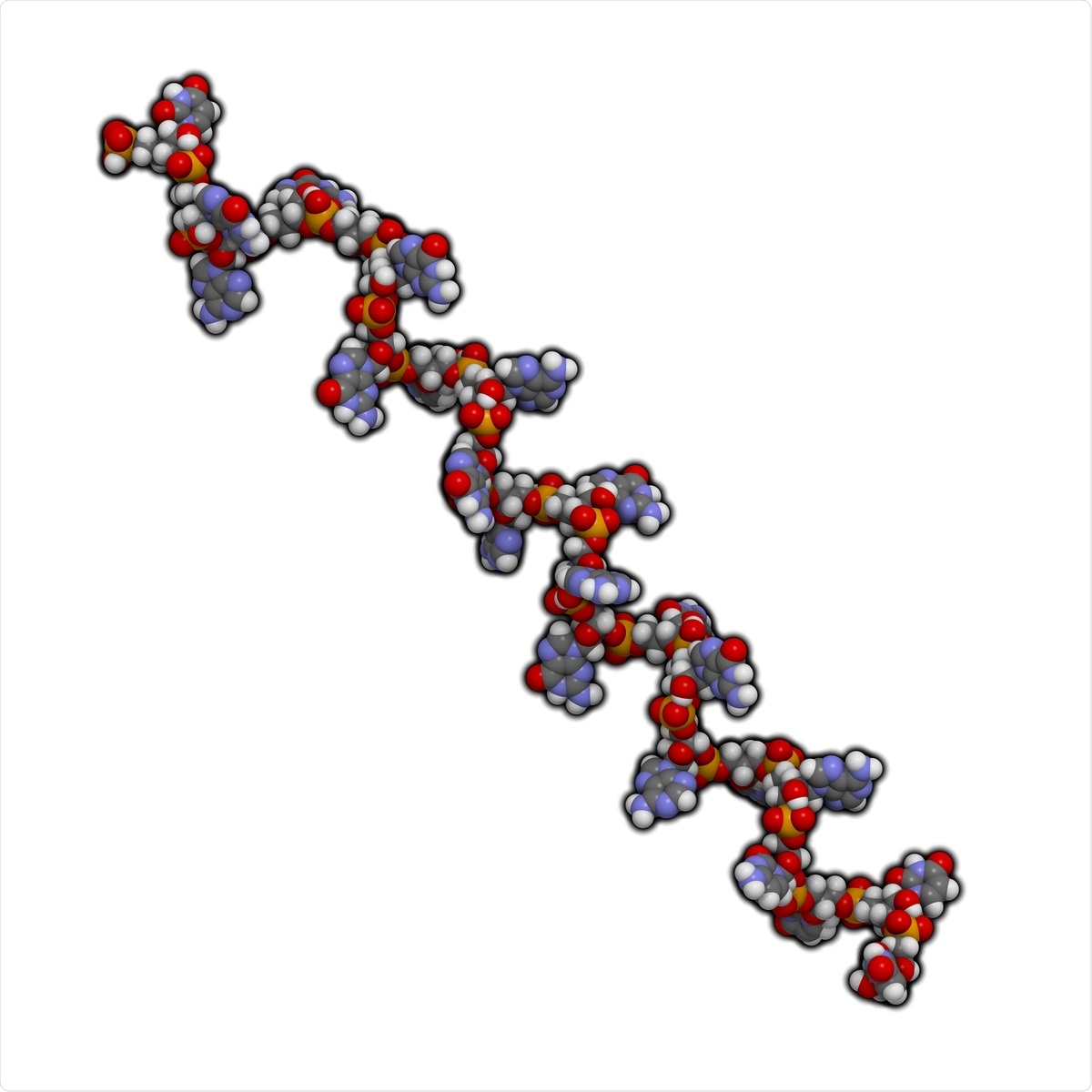 MicroRNA (miRNA) molecule. Image Credit: StudioMolekuul / Shutterstock