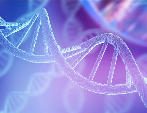 Supercoiled Minicircle DNA Analysis