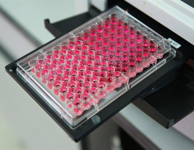 Which Microplate is Best for your Assay?