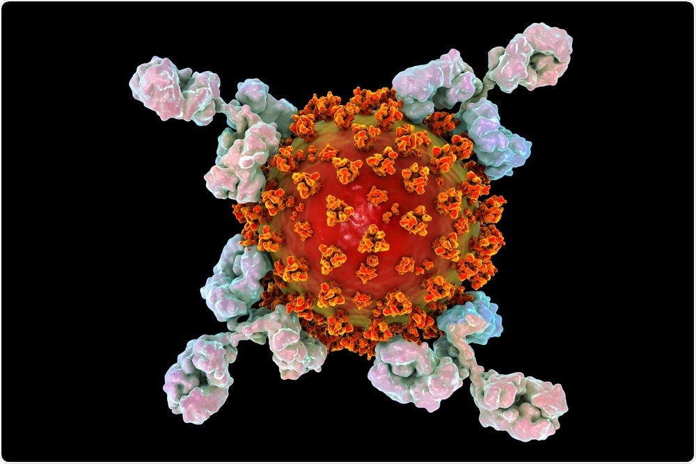 An antibody that attacks the SARS-CoV-2 virus.  Image credit: Kateryna Kon / Shutterstock