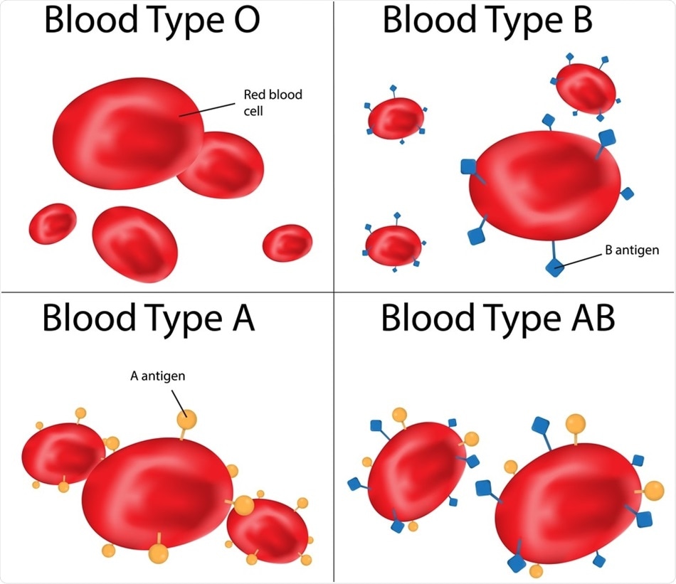 Likelihood of SARS-CoV-2 transmission may depend on blood type of ...