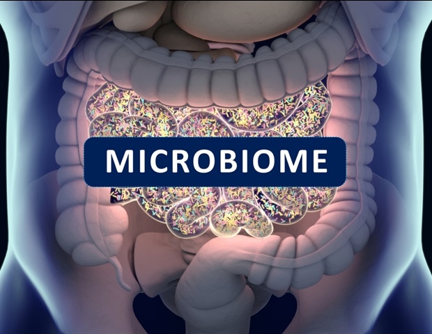 What is the Microbiome?