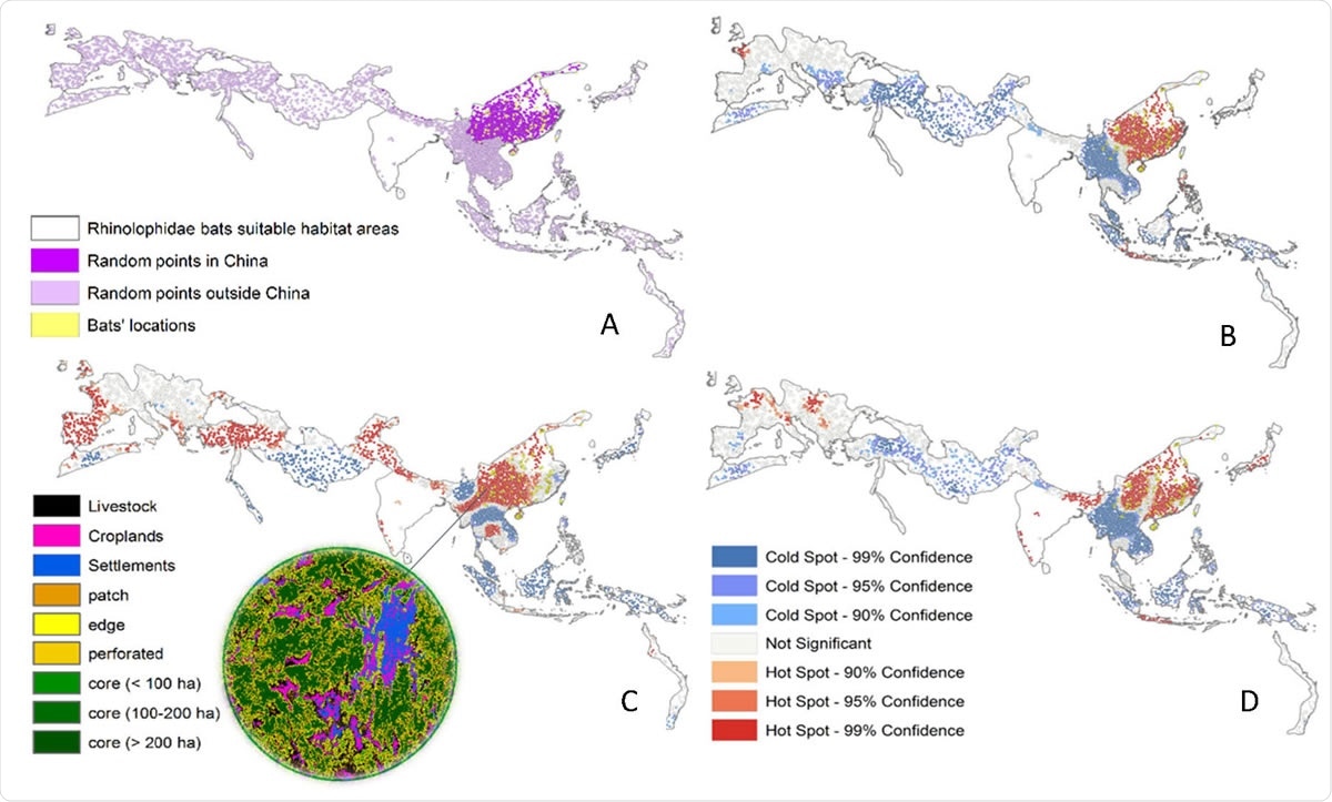 Univariate spatial analysis of coronavirus outbreak drivers (A) Sampling points randomly generated in China (dark purple) and outside China (light purple) and bat location points (yellow).  Asia, weighted by the distribution of bat species of bats present in east, south, and southeast; (B) Livestock density hotspots (red) and coldspots (blue).  (C) Forest fragmentation hotspot.  (D) Human settlement hotspot.