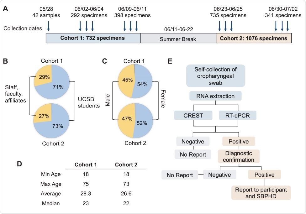 Description of the study and population demographics. (A) 1,808 persons were recruited in two cohorts during the months of May, June and July of 2020. The arrows indicate the days of sample collection. Samples were not collected during the UCSB summer break from June 11 to June 22. (B, C, D). UCSB affiliation, gender and age of study participants. (E) Flow chart of specimen handling (SBPHD Santa Barbara Public Health Department). Only positive results, confirmed in a CLIA laboratory with diagnostic testing, were reported to the participants and the Santa Barbara Public Health Department (SBPHD).