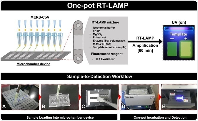 RT-LAMP technology