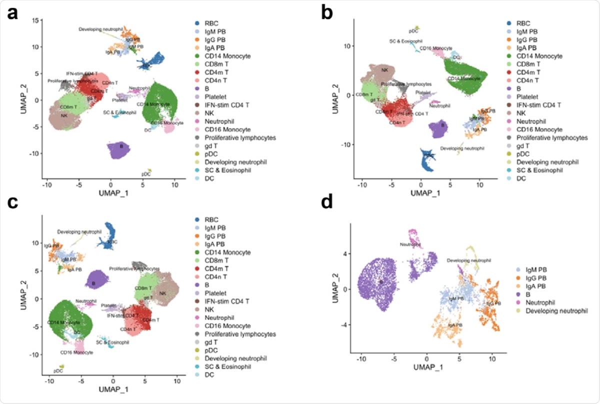 A study contradicting the phenotypical relationship between ...