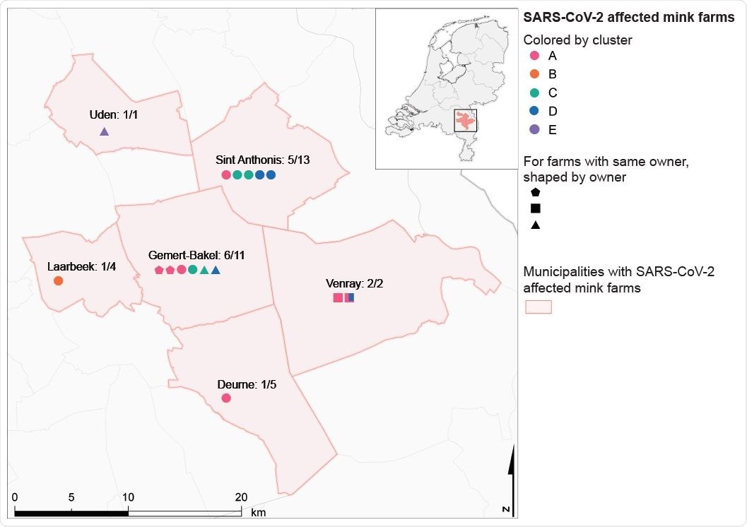 Geographical overview of SARS-CoV-2 positive mink farms by affected municipalities.  The ratio of SARS-CoV-2 positive mink farms to total mink farms (CBS, 2019) is shown.  The positive farm symbol is color-coded for each cluster and the shape indicates farms with the same owner.