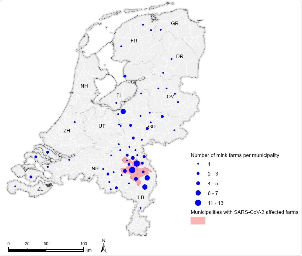 The number of mink farms per municipality in the Netherlands.  Summary of the total number of mink farms by municipality (CBS, 2019).  Municipalities with farms affected by SARS-CoV-2 by June 21, 2020 are shown in red.