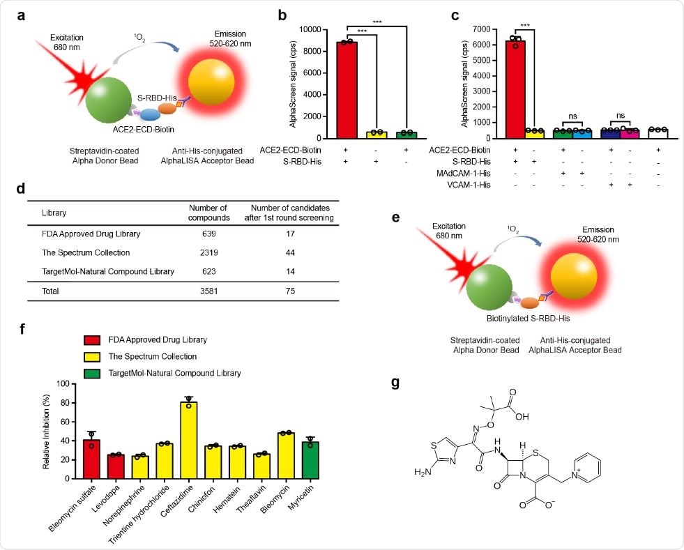 Screening of small molecule compounds that specifically block the interaction between S-RBD and ACE2. a, Schematic diagram of AlphaScreen system to detect the interaction between S-RBD and ACE2-ECD. The donor and acceptor beads are coated with streptavidin and anti-His monoclonal antibody, respectively. b, The interaction between S-RBD and ACE2-ECD was monitored using AlphaScreen 118 system. c, Comparison of the AlphaScreen signal of S-RBD-His, MAdCAM-1-His and VCAM-1-His proteins in the presence or not of ACE2-ECD-Biotin in AlphaScreen system. d, Libraries used in AlphaScreen-based high-throughput system and 75 candidates were identified from 3581 compounds in positive selection. The inhibition rate was calculated by the decrease of AlphaScreen signal of each compound compared with that of DMSO vehicle control group. e, Schematic diagram of negative selection using AlphaScreen system. Biotinylated S125 -His simultaneously links streptavidin-coated donor bead and anti-His-conjugated acceptor bead together to generate AlphaScreen signal directly. f, Relative inhibition of 10 candidate compounds on S-RBD–ACE2 interaction using AlphaScreen system. The relative inhibition rate was calculated by subtracting the inhibition rate in negative selection from that in positive selection. g, Molecular structure of ceftazidime.