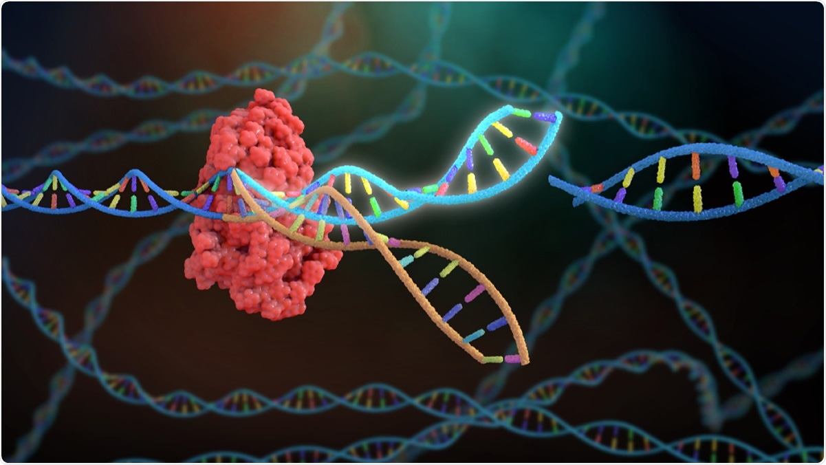 Study: Functional genomic screens identify human host factors for SARS-CoV-2 and common cold coronaviruses. Image Credit: Nathan Devery / Shutterstock