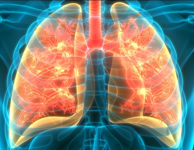 What are Lung Organoids?