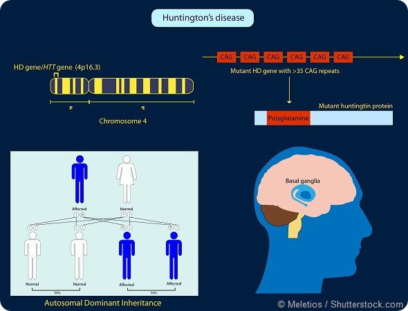 Overcoming gene silencing barriers to target neurological conditions ...