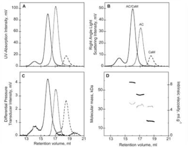 Triple Detection Size Exclusion Chromatography (SEC-TD) Analysis of ...