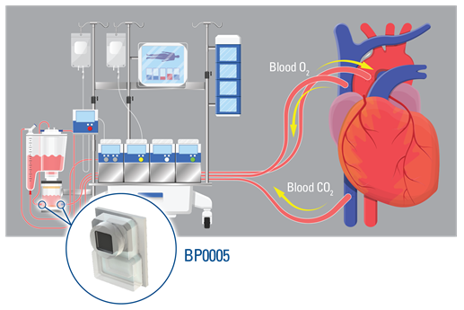 The Utility Of Blood Pressure Monitoring In Medical Applications