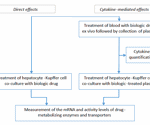 Identifying DDI risks in immunomodulators through CYP suppression studies