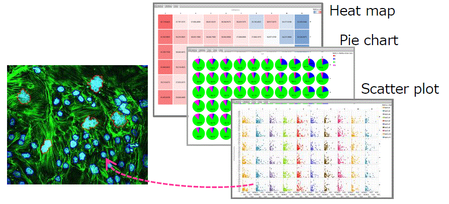 CellVoyager CQ1: An advanced cellular image analysis tool